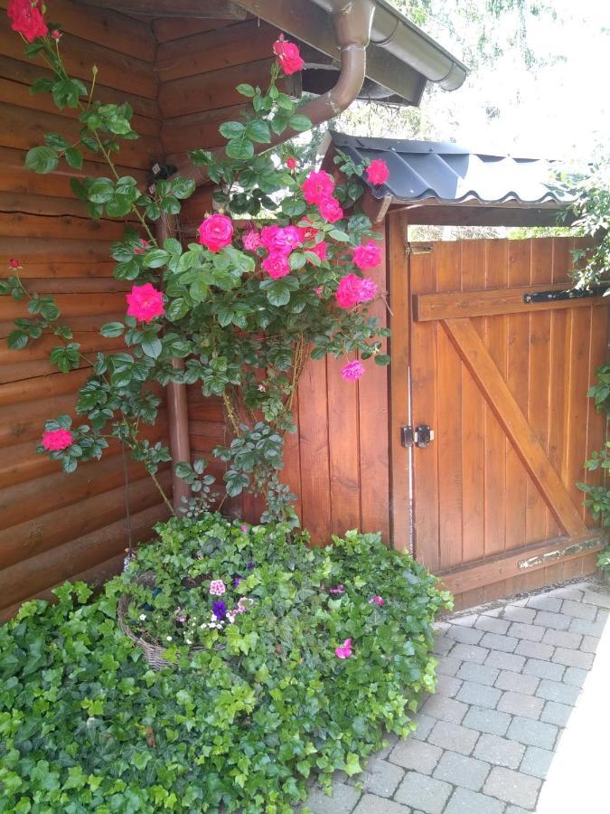 Chalet Le Paradou Adults only Lessive Extérieur photo