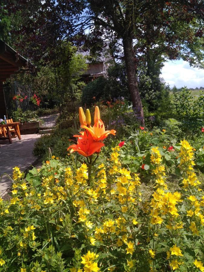 Chalet Le Paradou Adults only Lessive Extérieur photo